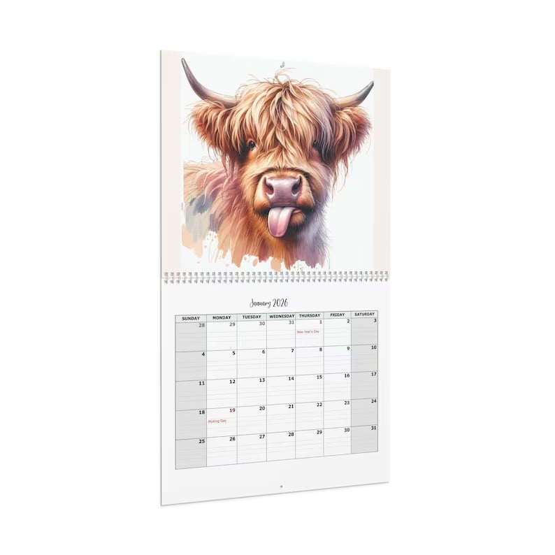 🔥Last Day Promotion 70% OFF🐮Highland Cow Calendar 2026