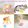 Smart Cat Toys Interactive Ball