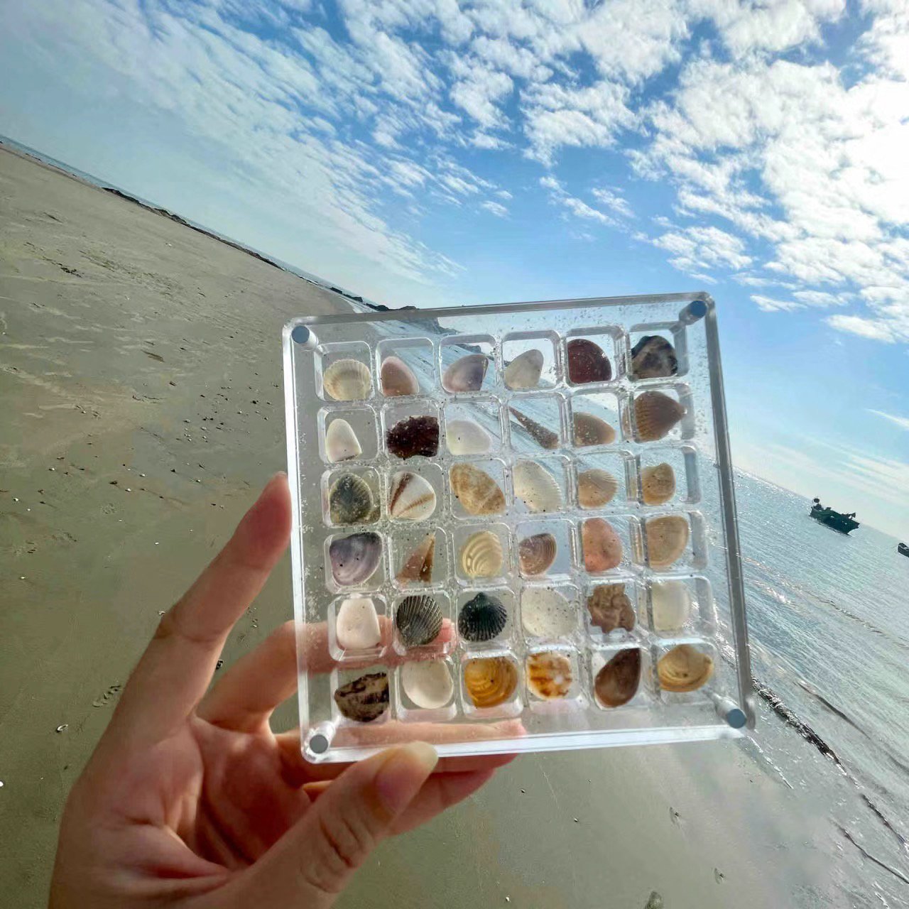 (🎉Last Day Promotion 50% OFF) Acrylic Magnetic Seashell Display Box