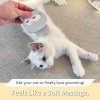 🌲Early Christmas Sale 49% OFF - Cat Hair Removal Massaging Shell Comb