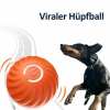 🔥Chewie Viral Hüpfball