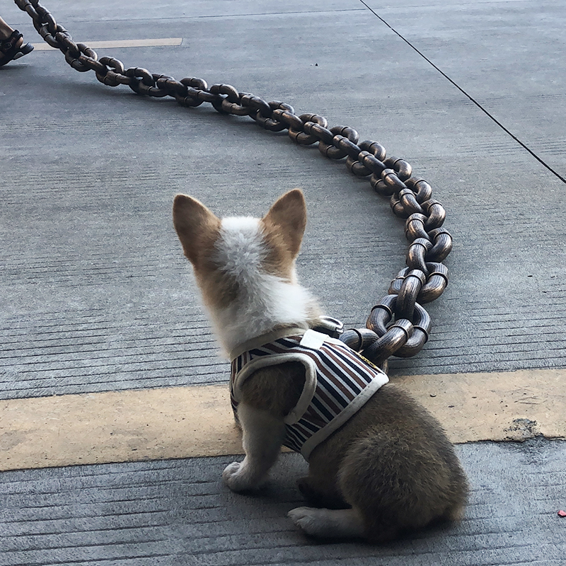 🐶Imitation Iron Chain Pet Leash‼️Suitable for the coolest dogs