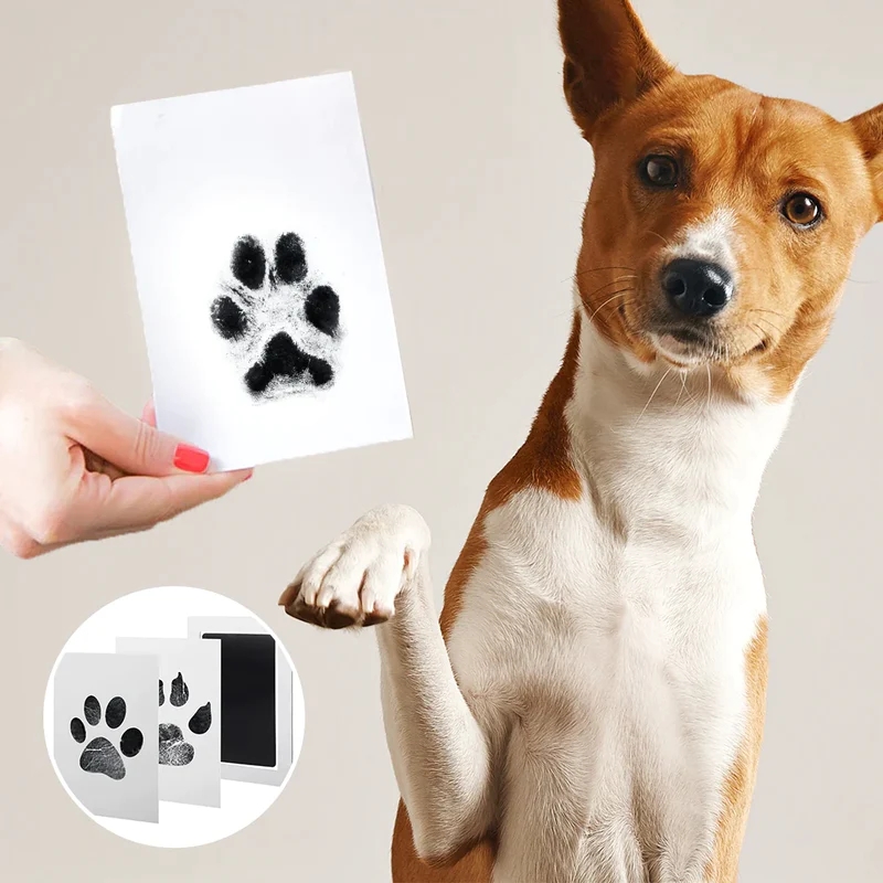 🔥Last Day Promo - 70% OFF🔥 Paw Print Stamp Pads, Buy 2 Get 1 Free