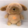 Peluche Capibara Calm