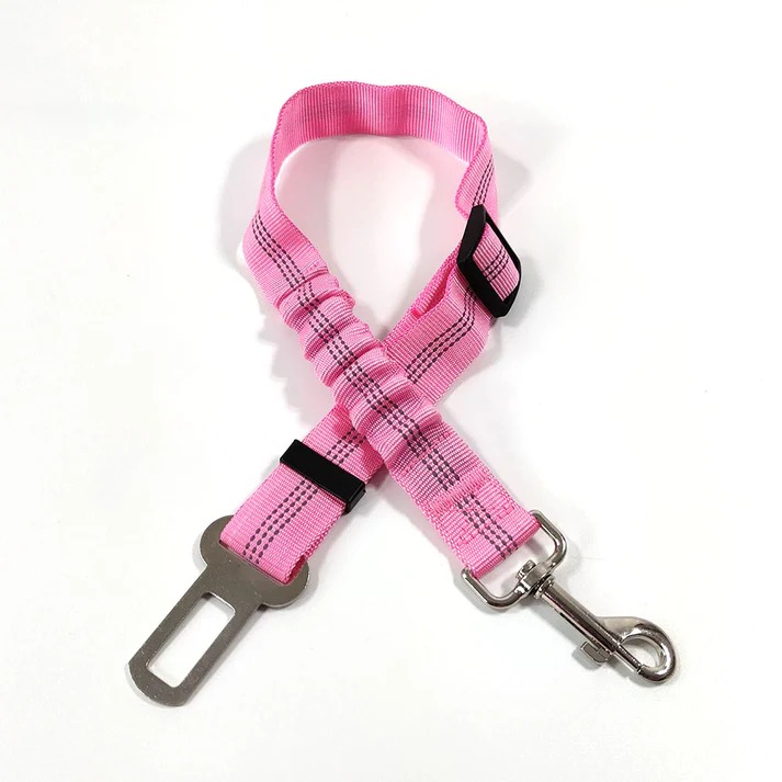 🔥(HOT SALE - 49% OFF) Nylon Reflective Pet Safety Tether - Buy 2 Get 2 Free Now