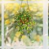 🍁Fall Harvest Sale: 60% OFF! String of Turtles Suncatcher: Greenery Window Decor