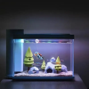 ⚡⚡Last Day Promotion 48% OFF - Aquarium Fish Tank Decorations（🔥🔥BUY 3 GET 2 FREE）