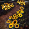 🎊HOT SALE🌻 Waterproof Solar Garden Sunflower Lamp (4 Pack&Buy 2 Free Shipping）