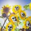 Halloween Sunflower Skull Head Garden Decoration