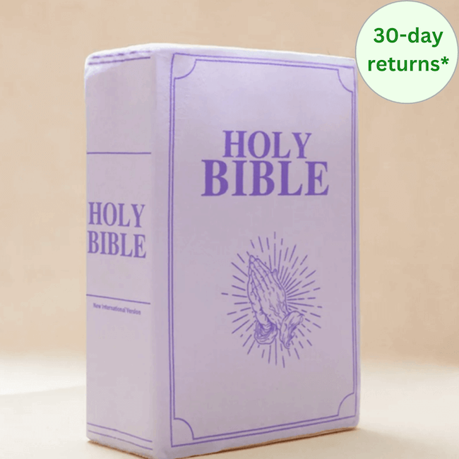 ✝️Heavenly Rest Bible Pillow