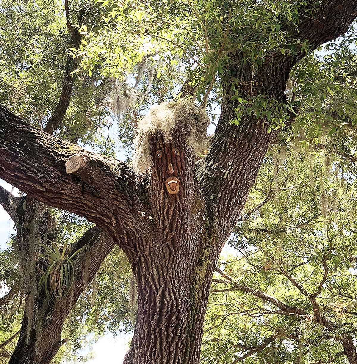 🌳Bark Ghost Faces Decorate Fun Yard Art