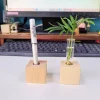 🔥Last Day Promotion 70% OFF🔥Wooden Test Tube Vase DIY Flower Arrangement
