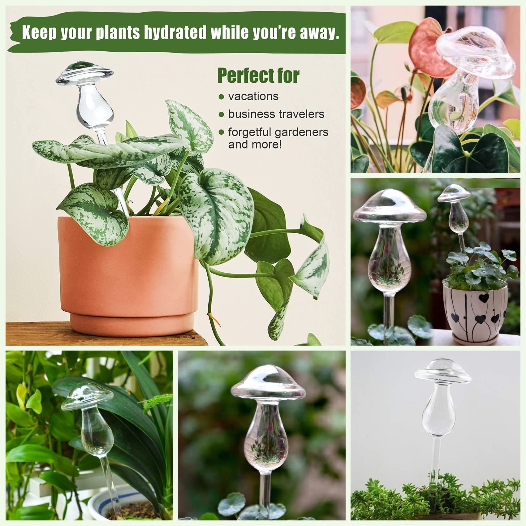 🎁TikTok Last Day Sale - 70% OFF✨ Mushroom Shaped Self-Watering Globes