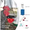 🔥Last Day Promotion 50% OFF - 🐔Fully Automatic Chicken Waterer