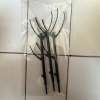 🔥Last Day Promotion 50% OFF🔥Plant Support Stakes