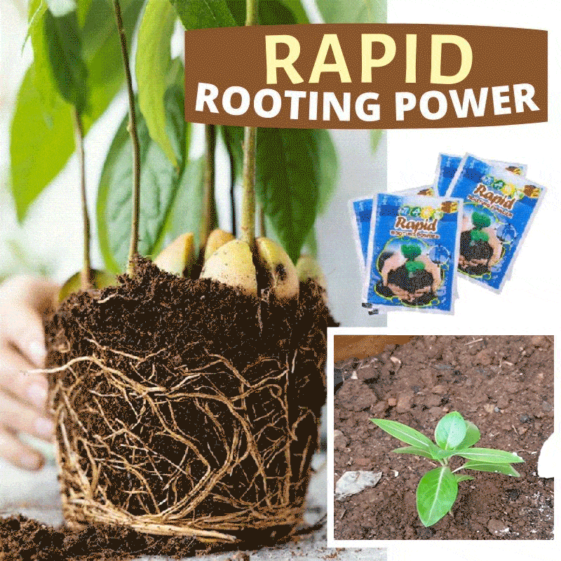 (🔥Last Day Promotion - 70% Off)RapidBoost Rooting Powder, Buy 3 Get 1 Free NOW!!