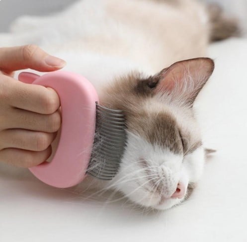 Pet Hair Removal Massaging Shell Comb-Buy 3 get extra 20% off & Free shipping