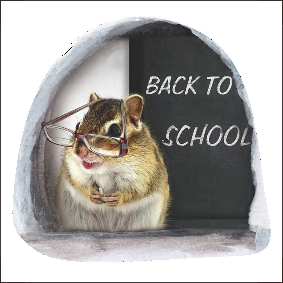 🐭Last Day Promotion- SAVE 70%🏠3D Mouse Wall Sticker