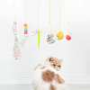 💥LAST DAY SALE 50% OFF💥Hanging Bouncing Cats Toy⚡BUY 1 GET 1 FREE