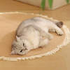 🔥Last Day Promotion 70% OFF🔥Handwoven Durable Cat Scratch Mat Rug