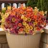 🔥Last Day Promotion 50% OFF🔥OFF-UV-Resistant Artificial Flowers  for Fall Decor