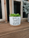 🌼Funny Succulent Pot