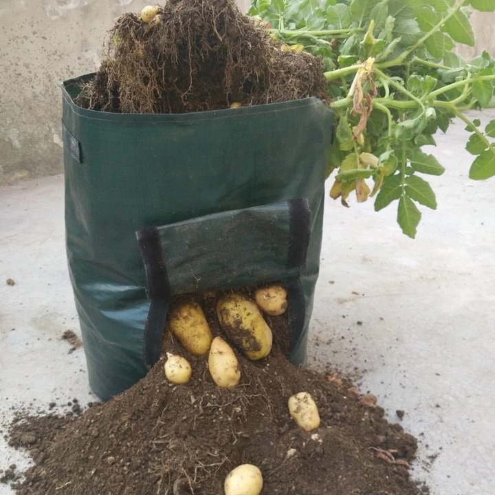 (🔥 Summer Hot Sale - 50% OFF) Potato Grow Planter Bag, Buy 4 Get Extra 20% OFF