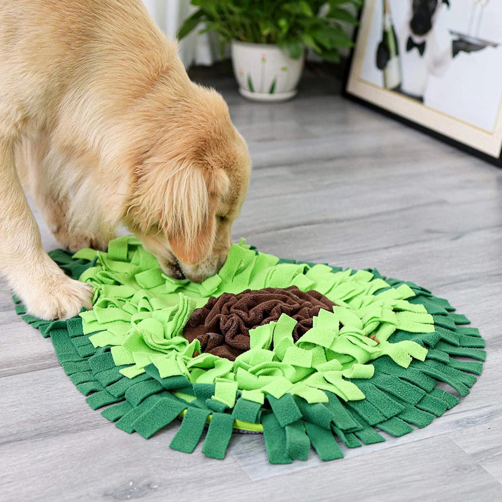 🔥Last Day Promotion 70% OFF🔥Interactive Dog Sniffing Mat