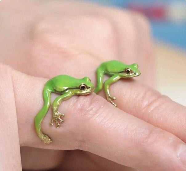 🔥 Buy 1 Get Free 🔥-Tree Frog Ring & Earrings