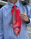 🎁Last Day Sale - 70% OFF🎉Animal Creative Tie🦊🦈👔