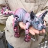 🎁TikTok Last Day Sale - 70% OFF🔥23cm/9.06inch 3D Printed Articulated Cat Figure