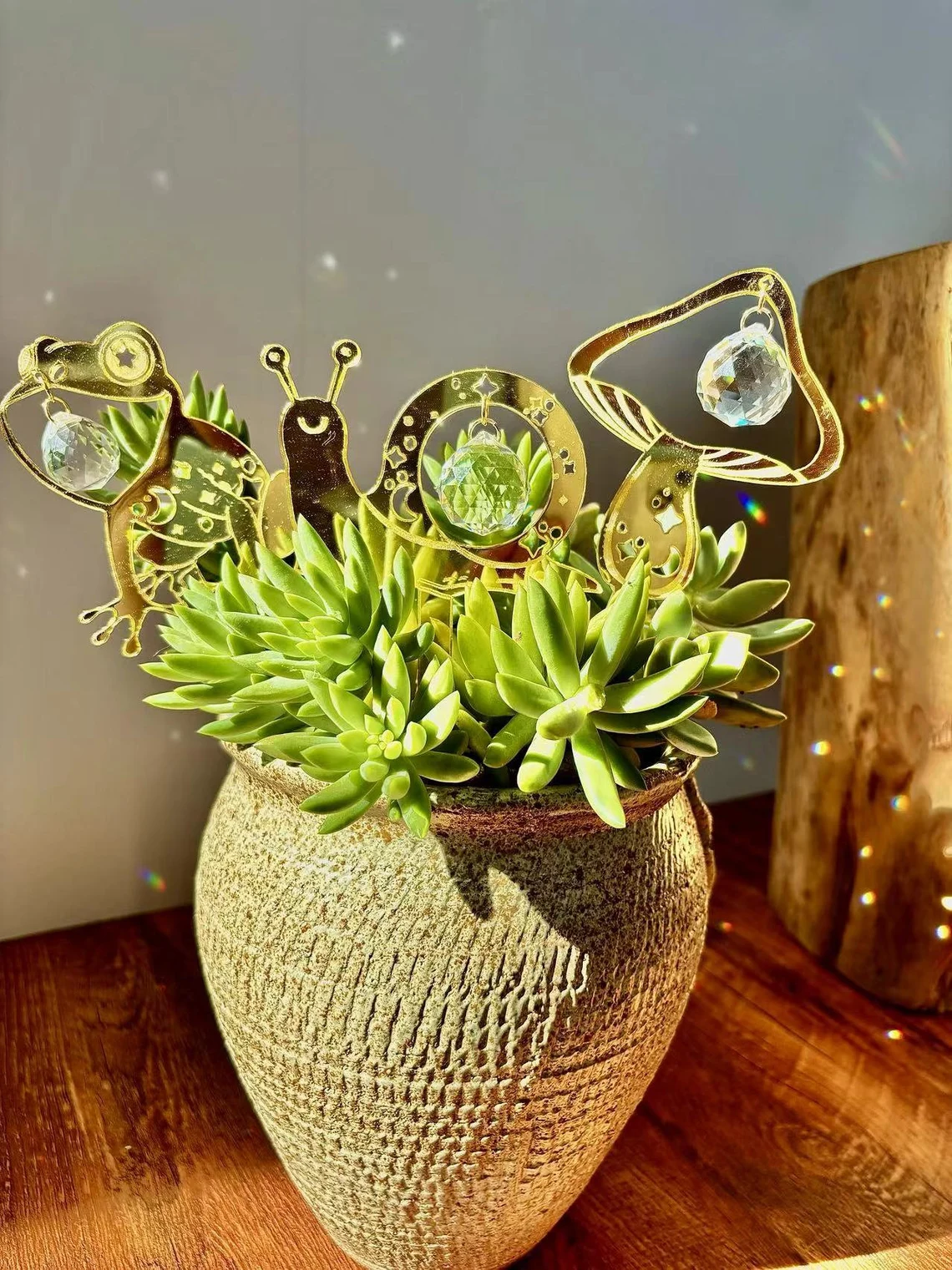 🔥 Limited Time Offer – 50% OFF!  Plant Stake, Plant Sun Catcher, Plant Spike, Garden Decor, Mushroom Snail Frog Decor, Rainbow Maker, Boho Indoor Decor