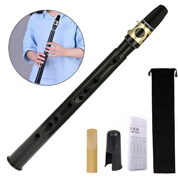 🎉LAST DAY -70%OFF - 🔥✨Key Of C Two Octave Range Pocket Travel Saxphone⚡Buy 2 Get Free Shipping