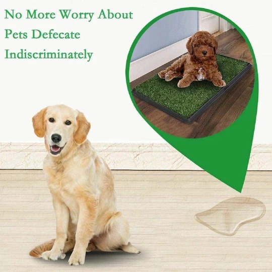 (MOTHER'S DAY PROMOTIONS- SAVE 50% OFF) Dog Indoor Grass Pad(BUY 2 GET EXTRA 10% OFF)