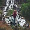 🎁TikTok Last Day Sale - 70% OFF🎉Magic cape🧚🦋