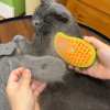 😻 HOT SALE 😻3 In1 Pet Self Cleaning Steamy Brush