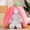 🔥Last day promotion 50% off🔥Kawaii Fruit Vegetable Rabbit Doll