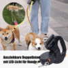 🔥Letzter Tag 50% RABATT-Ausziehbare Doppelleine für Hunde mit LED-Licht