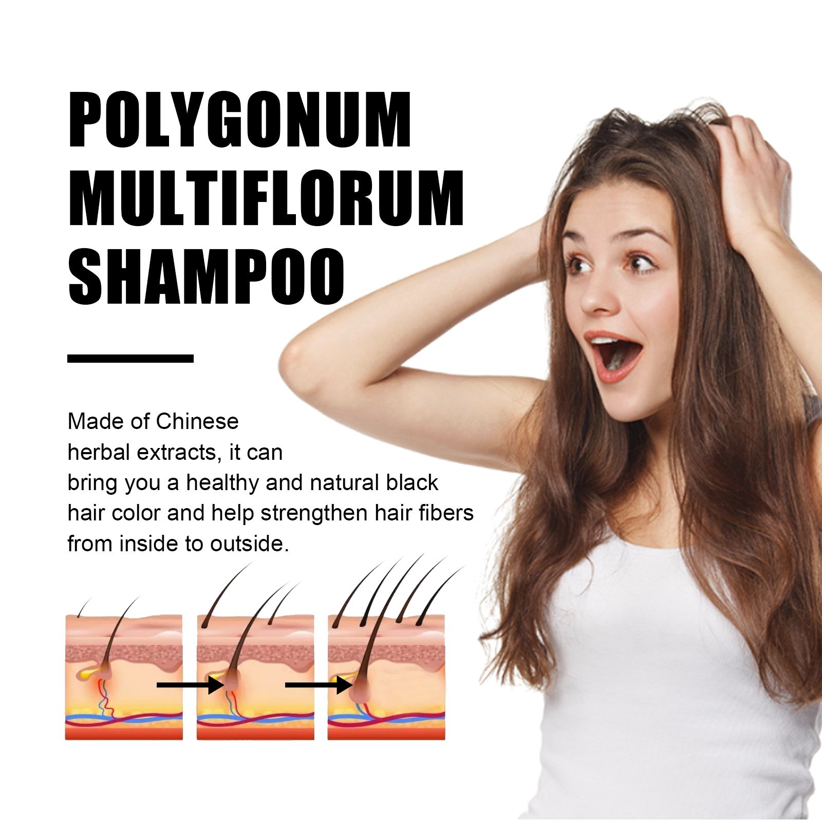 Polygonum Multiflorum GInger Shine Pflegendes Wurzel Shampoo