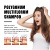 Polygonum Multiflorum GInger Shine Pflegendes Wurzel Shampoo