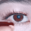 REUSABLE  MAGNETIC EYELASH KIT