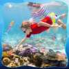 🎁TikTok Last Day Sale - 70% OFF🔥4 Colours Little Mermaid Pool Toy Shell