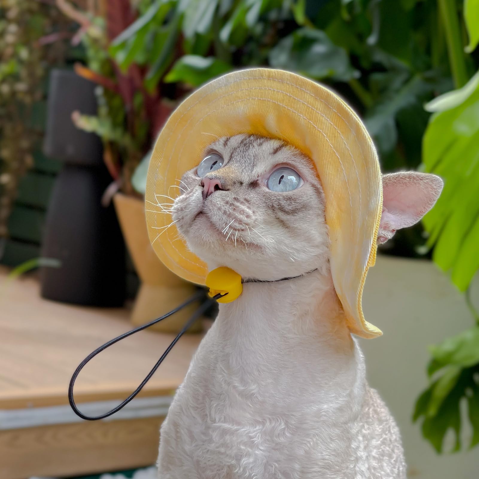 🔥Hot Sale 49% OFF🔥 - Pet hat with Ear Holes Sunscreen Baseball Cap