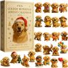 🔥LAST DAY 50% OFF--🎁Fun Golden Retriever Advent Calendar 2025