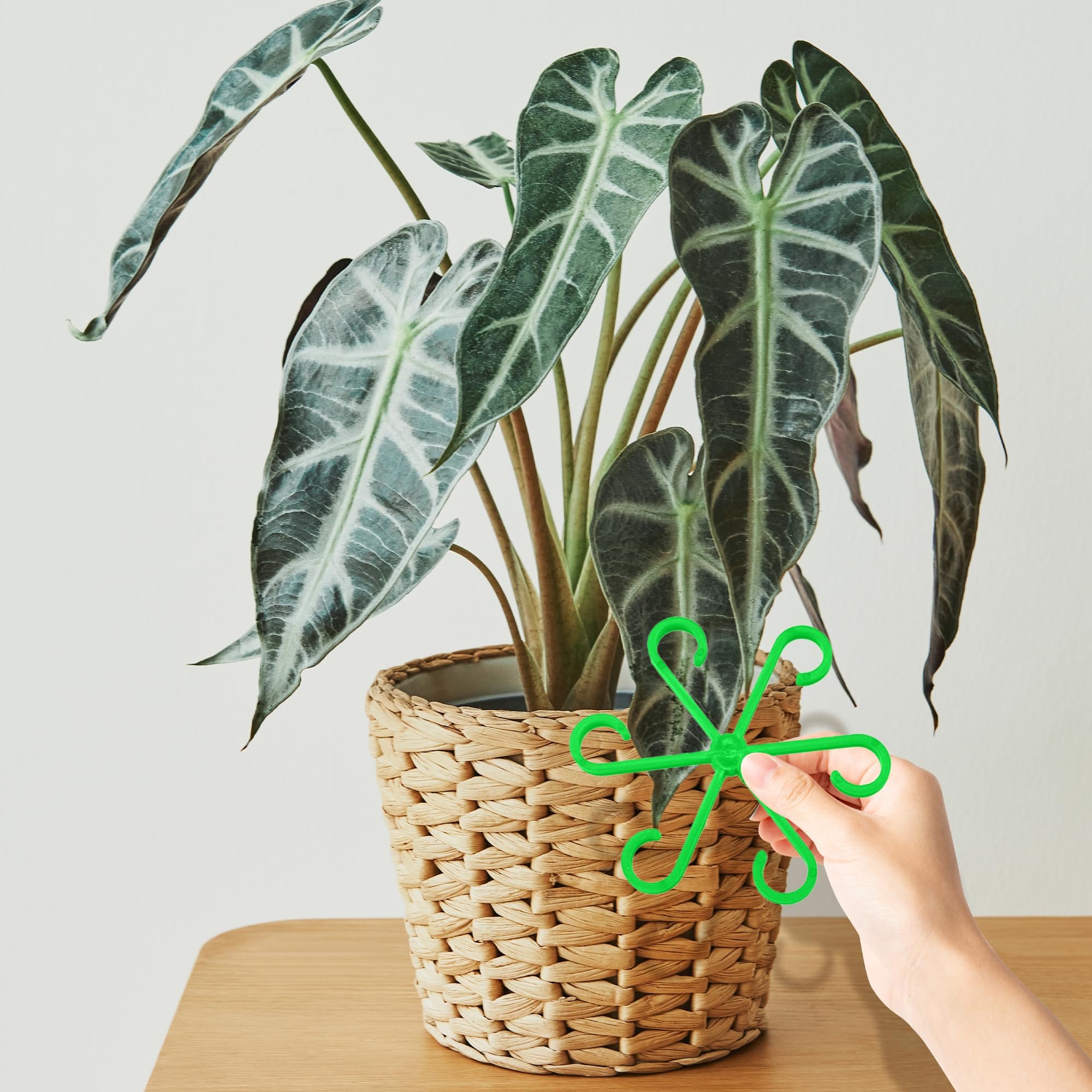 Last Day Promotion 70% OFF - 🌿Plant Stem Support Set