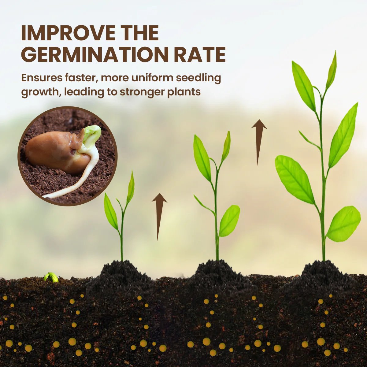 Last Day Promotion 70% OFF - 🔥Soil Pro Activator⚡Buy 2 Get 1 Free(3 Pcs)