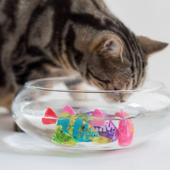 (🔥Last Day Promotion - 48% OFF) Electric Fish Cat Toys, Buy 4 Get Extra 20% OFF & Free Shipping