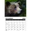 Remembering Grizzly 399 Calendar