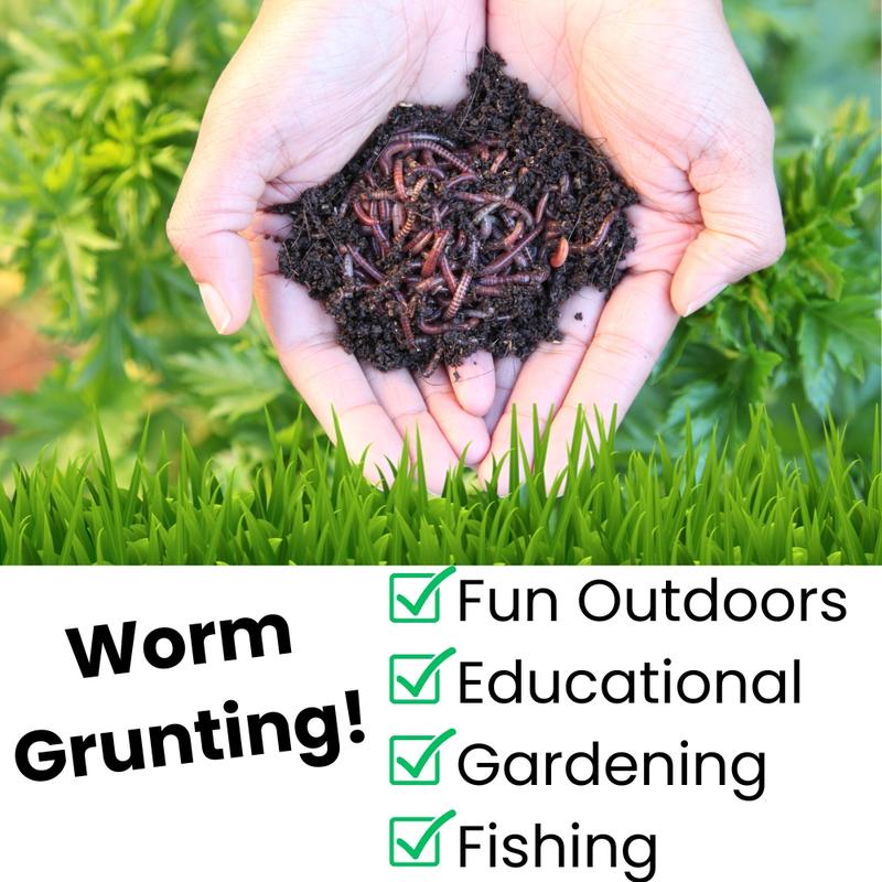 🔥Last Day: 50% Off! 🔥 Worm Popper – The Fun & Easy Way to Call Worms from the Ground