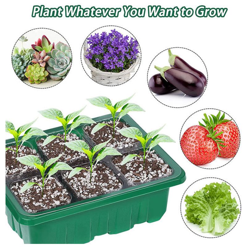 (Last Day Promotion - 50% OFF) 12 Holes Seedling Tray, BUY 5 GET 3 FREE & FREE SHIPPING